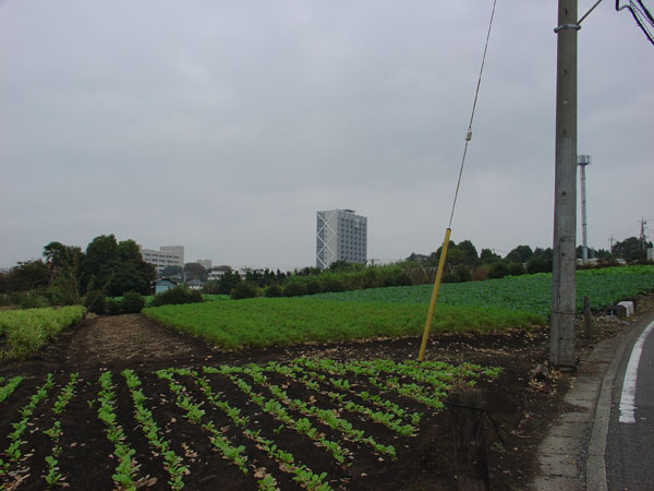 e0178405_19455911.jpg