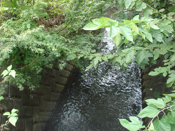 e0178405_19484768.jpg