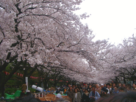 c0110906_1648137.jpg