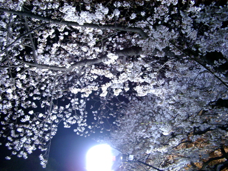 c0110906_22333167.jpg