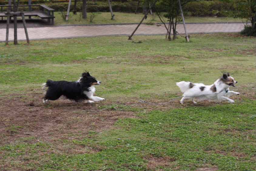 e0130008_17564134.jpg