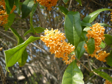 c0145209_2218873.jpg