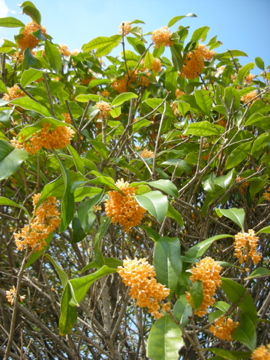 c0145209_2221273.jpg