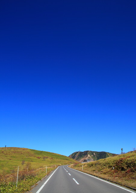 c0146510_132837.jpg