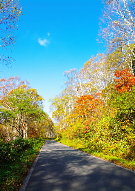 c0146510_13284619.jpg