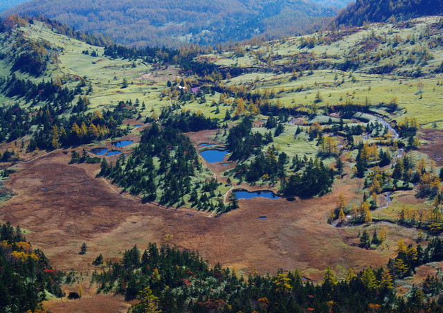 c0146510_1331182.jpg