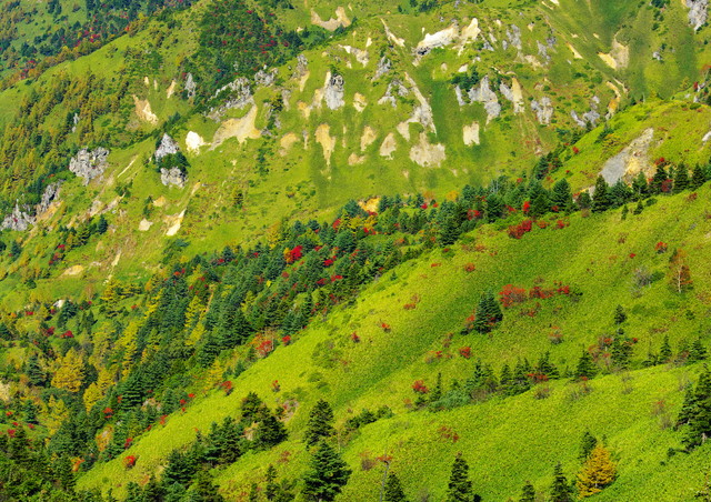 c0146510_13315589.jpg