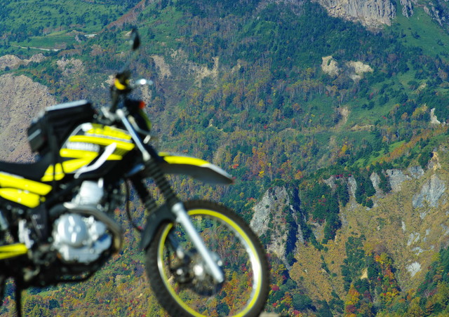 c0146510_13332158.jpg