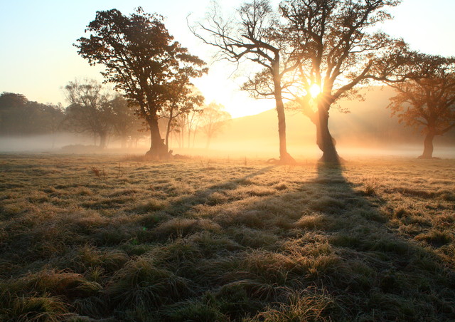 c0146510_13404765.jpg