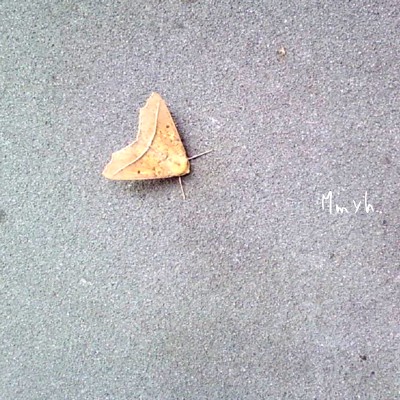 e0101411_18115360.jpg