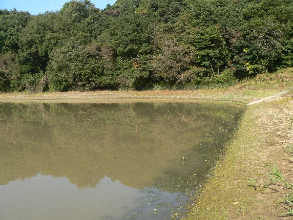 e0002314_2144789.jpg