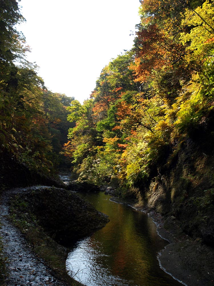 c0145418_20274996.jpg