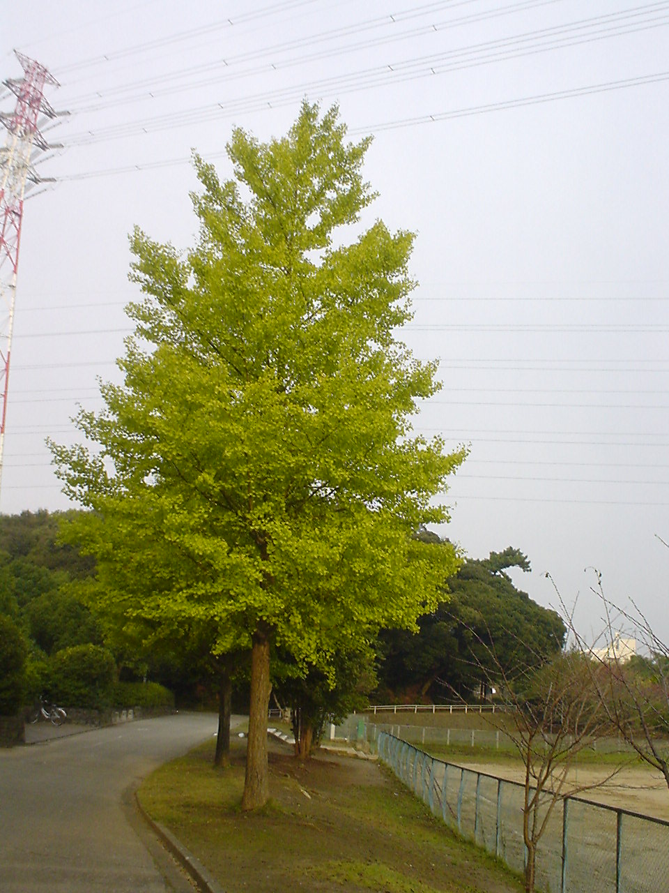 c0150520_22234883.jpg