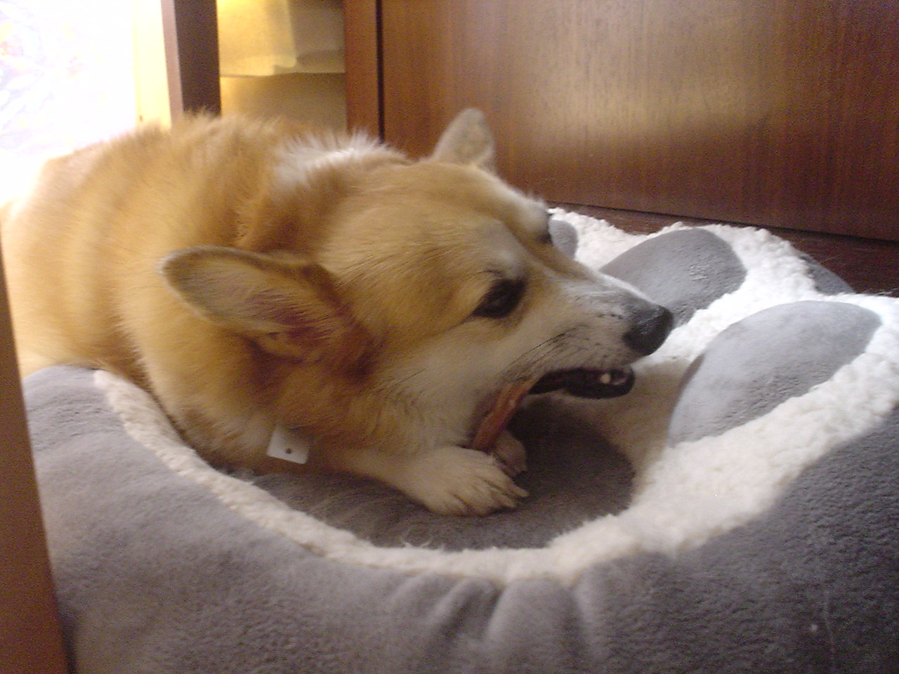 c0150520_22243189.jpg
