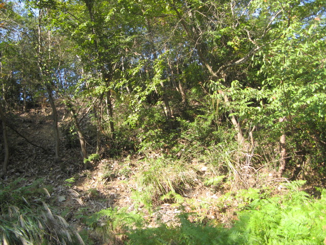 c0168626_16331631.jpg