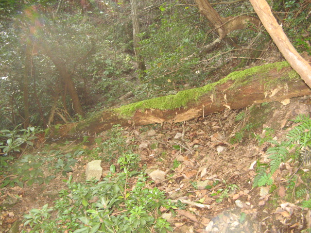 c0168626_1635474.jpg