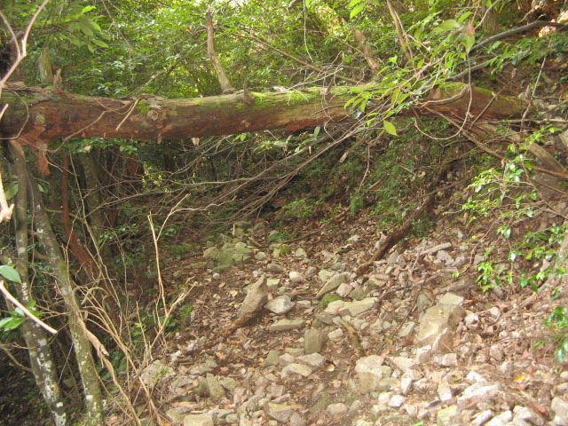 c0168626_16355388.jpg