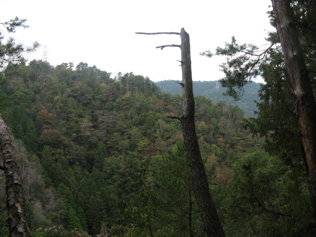 c0168626_1642882.jpg