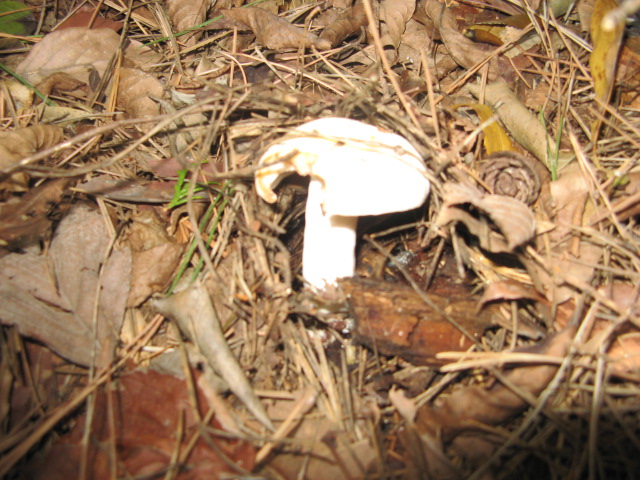 c0168626_16443792.jpg