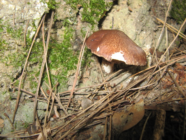 c0168626_16461076.jpg