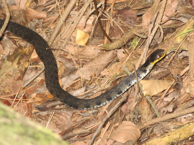 c0168626_1704843.jpg