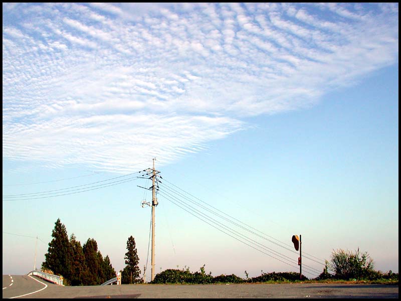 d0029829_7493786.jpg