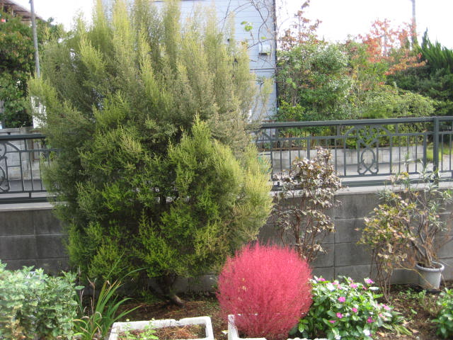 e0166032_1826755.jpg