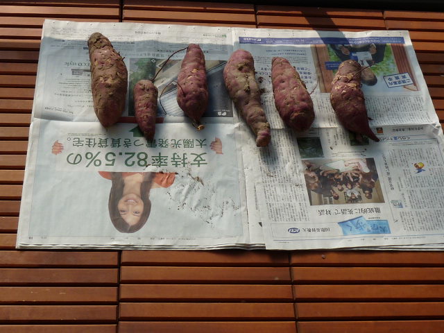 c0100534_15281071.jpg