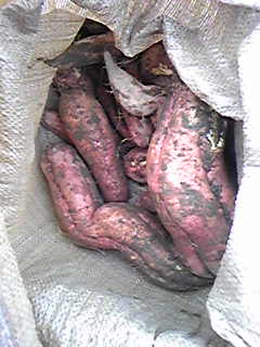 f0084436_2110926.jpg