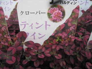 a0132041_2051811.jpg