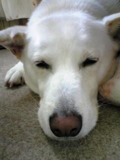 f0199641_11203218.jpg