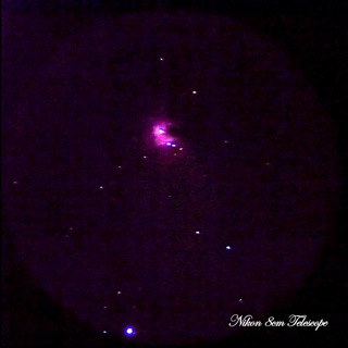 b0167343_9513022.jpg