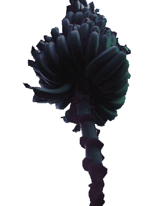 c0122852_18134921.gif
