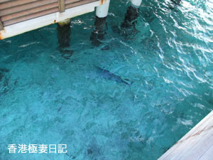 f0190653_9352453.jpg