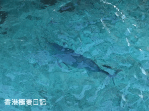 f0190653_9354767.gif