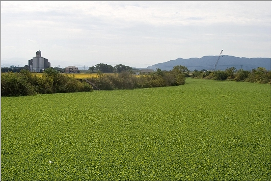 d0102968_6265997.jpg