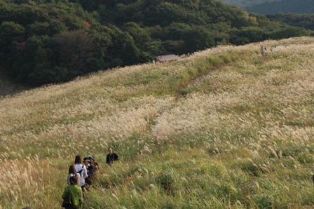 f0047870_16413739.jpg