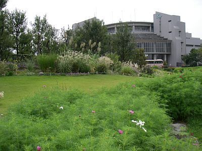 e0143671_100561.jpg