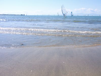f0045872_23135573.jpg