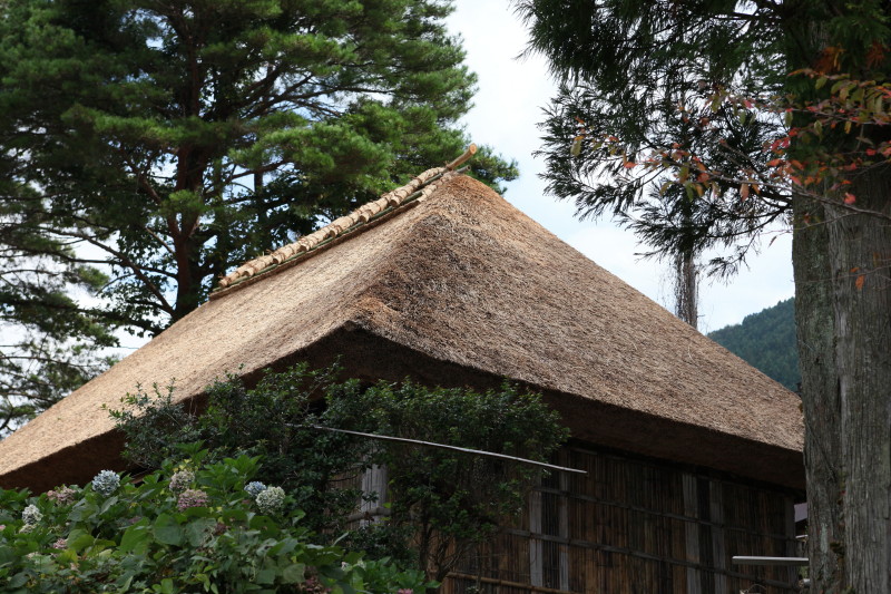 c0148777_18355497.jpg