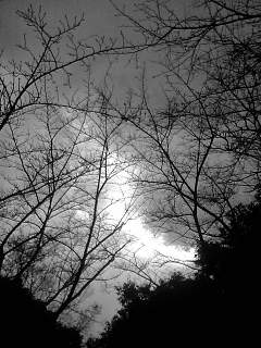 f0100480_19241186.jpg