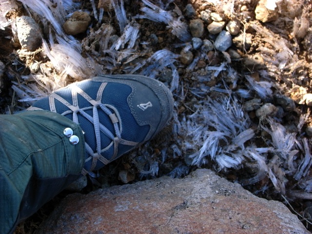e0129083_209446.jpg