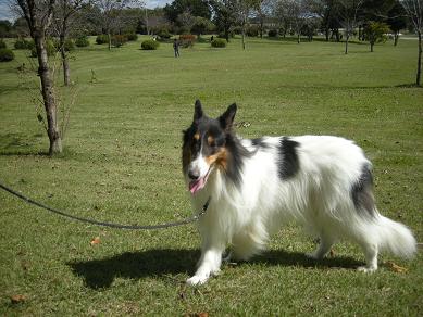 f0081100_13254818.jpg