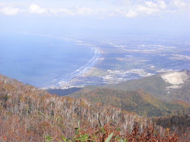 f0157901_21161649.jpg