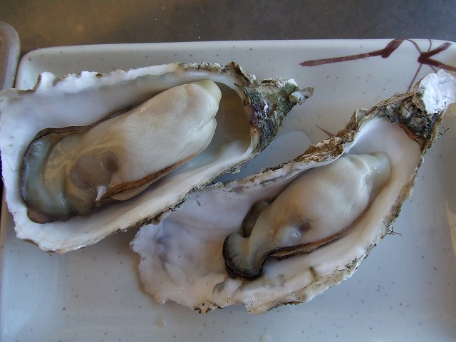 f0147602_13523047.jpg