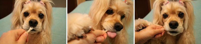 c0128303_1441892.jpg