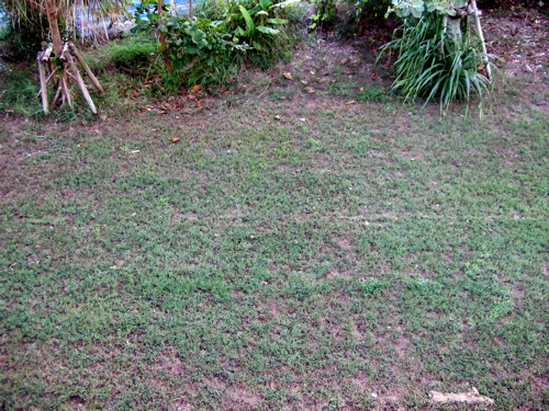 e0162304_3553149.jpg