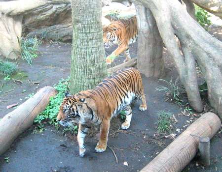 c0110906_22214199.jpg