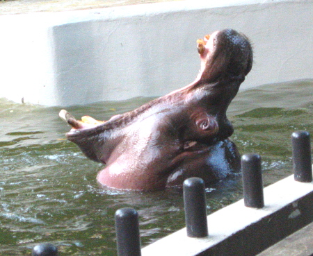 c0110906_2222235.jpg