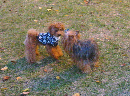 c0110906_22251093.jpg